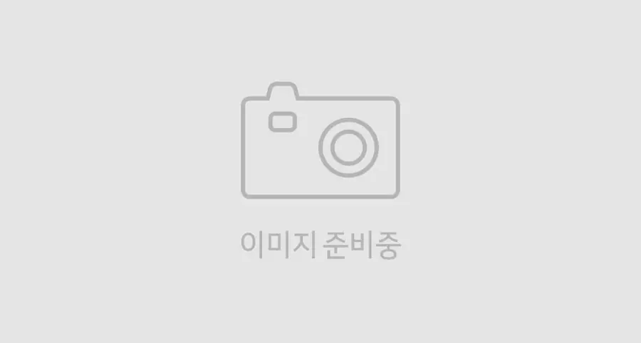 애프터마켓용 컬렉션 기아 공식 옵션 이미지
