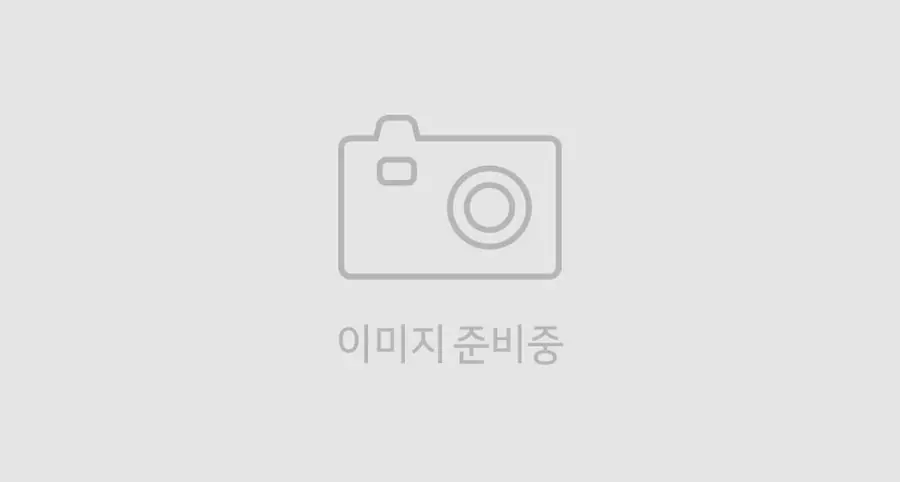 8인치 디스플레이 오디오 기아 공식 옵션 이미지
